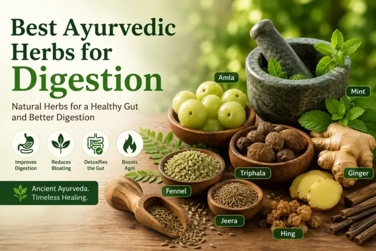 Best Ayurvedic herbs for digestion and gut health naturally